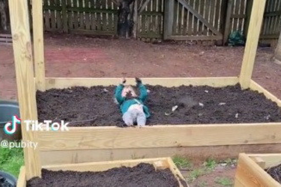 RADILA JE U BAŠTI A ONDA UGLEDALA STRAŠAN PRIZOR: Nije mogla da dođe sebi od šoka! (VIDEO)