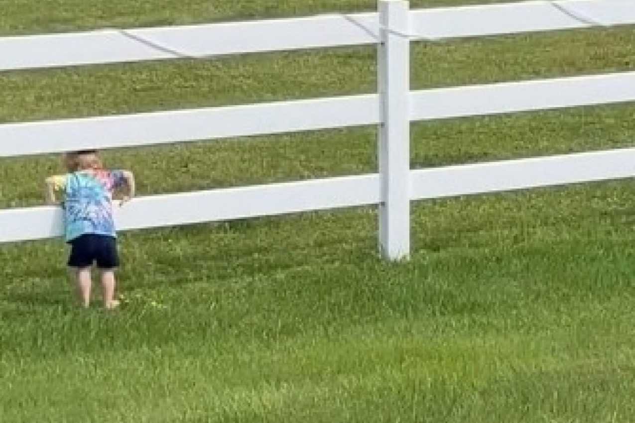 MALIŠAN JE PROMOLIO GRAVU KROZ OGRADU I DOZIVAO KONJE: Sjurili su se ka njemu, a onda se desio trenutak koji su svi gledali u jednom dahu(FOTO/VIDEO)