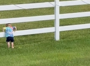 MALIŠAN JE PROMOLIO GRAVU KROZ OGRADU I DOZIVAO KONJE: Sjurili su se ka njemu, a onda se desio trenutak koji su svi gledali u jednom dahu(FOTO/VIDEO)