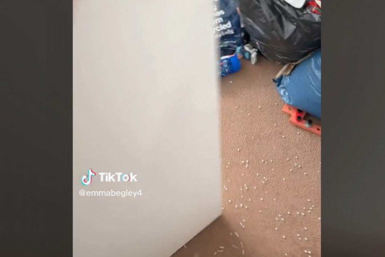 OSTAVILA JE BLIZANCE SAMO NA 10 MINUTA, A ONDA JE OTVORILA VRATA! Vrisnula je od šoka, ljudi joj poručuju: Prodaj kuću i beži! (VIDEO)