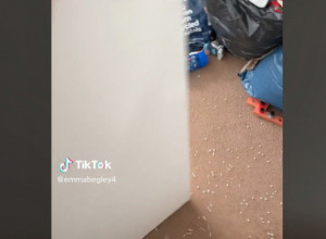 OSTAVILA JE BLIZANCE SAMO NA 10 MINUTA, A ONDA JE OTVORILA VRATA! Vrisnula je od šoka, ljudi joj poručuju: Prodaj kuću i beži! (VIDEO)