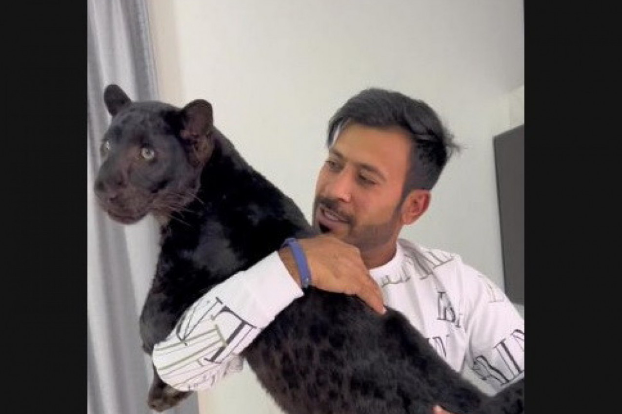 ŠOKANTAN ŽIVOT ŠEIKA IZAZVAO BURNE REAKCIJE: Bogataš pokazao šta rade divlje životinje u njegovom domu, na ove kadrove niko nije ostao ravnodušan! (VIDEO)