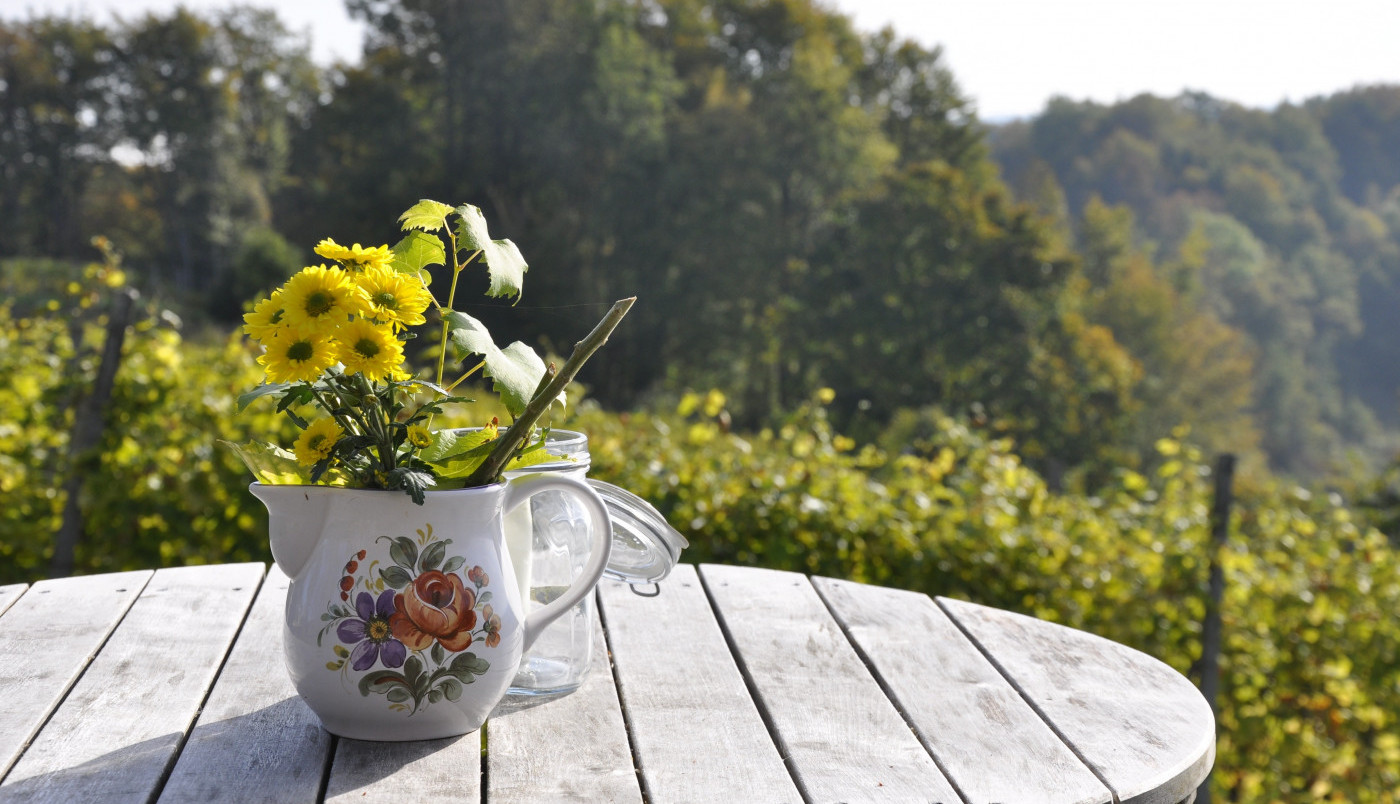Cilj za ovo proleće - uživati u ovakvom pogledu!