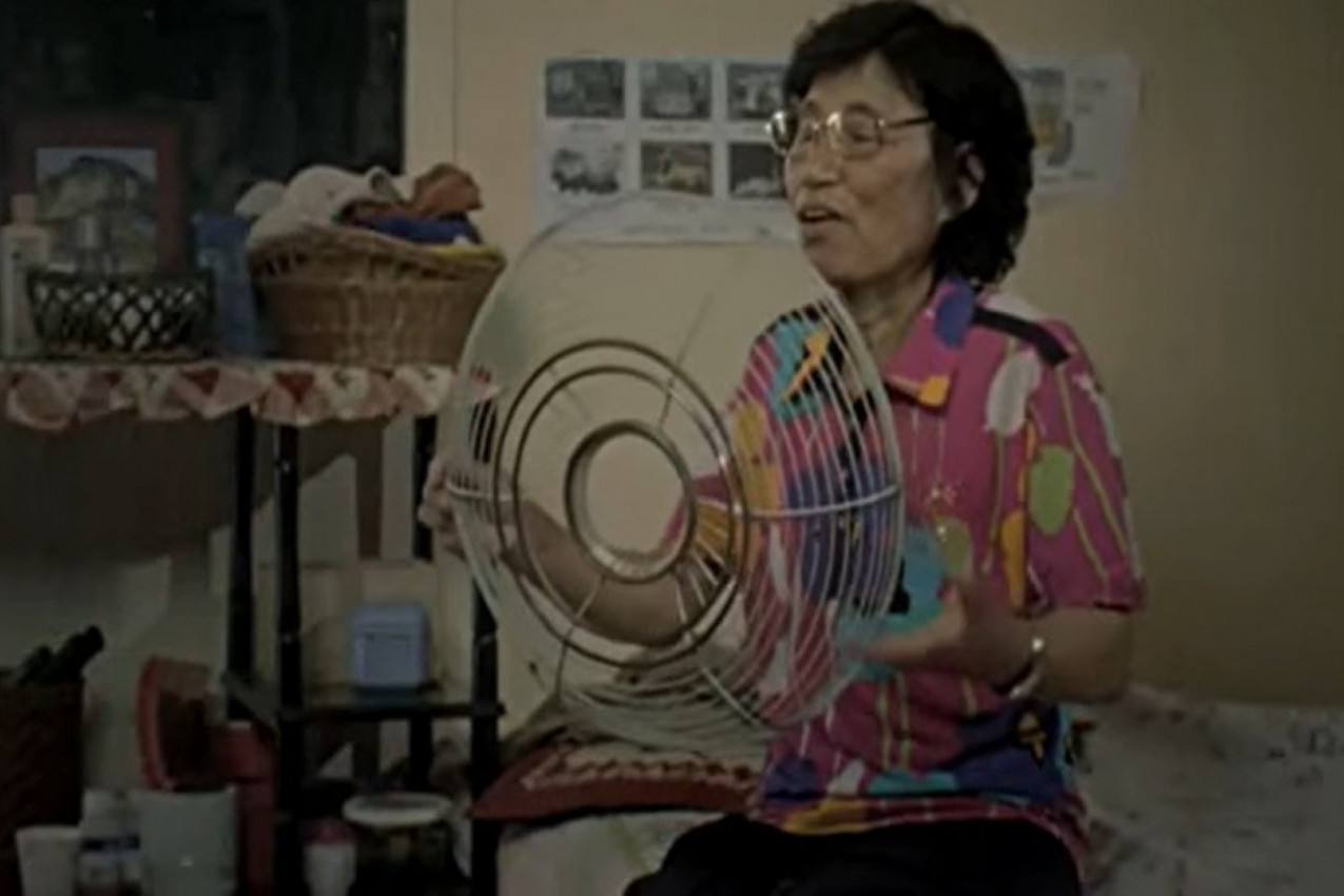 BAKA POLOŽILA VOZAČKI POSLE 960 POKUŠAJA: Do dozvole je pokušavala da dođe 18 godina i potrošila 12.500 evra ali nije odustala (VIDEO)