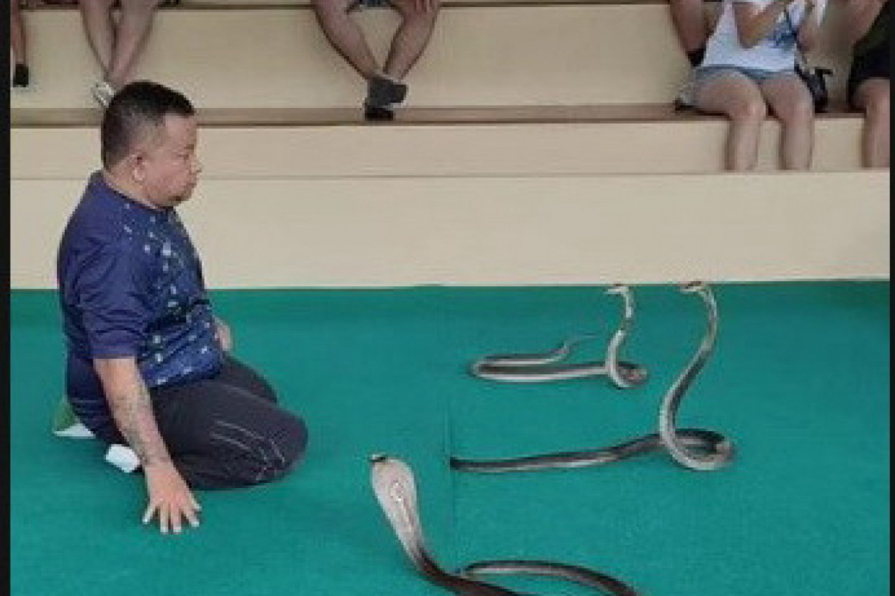 IZVEO JE PERFORMANS SA ZMIJAMA OTROVNICAMA, a ono što je uradio na kraju je šokantno! Ovaj snimak nikoga ne ostavlja ravnodušnim! (VIDEO)