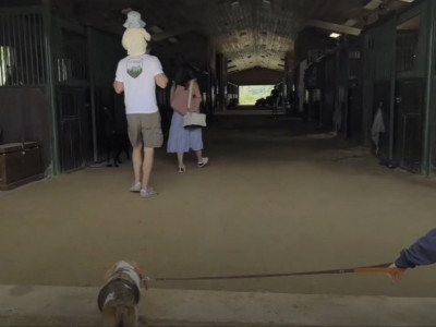 Arči se u jednom trenutku okrenuo i to je deo snimka koji je izazvao najviše pažnje 