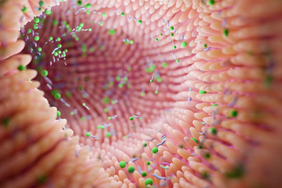 OVO JE GLAVNI OKIDAČ ZA NASTANAK ALCHAJMEROVE BOLESTI? Zbunjeni i naučnici, ima veze sa crevima, a evo ko je najugroženiji!