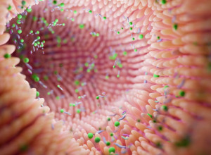 OVO JE GLAVNI OKIDAČ ZA NASTANAK ALCHAJMEROVE BOLESTI? Zbunjeni i naučnici, ima veze sa crevima, a evo ko je najugroženiji!