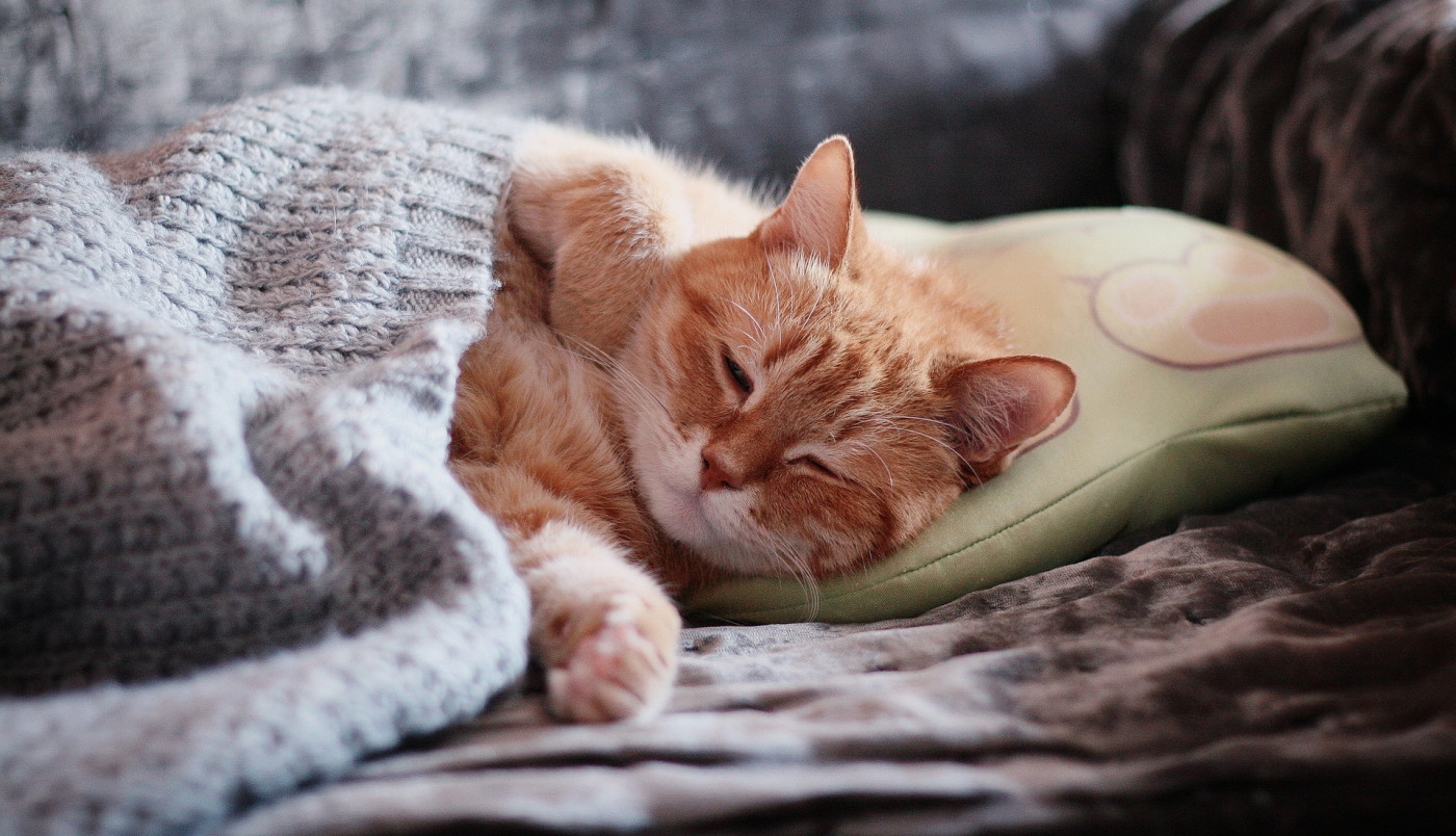 Savršen dan za odmor...