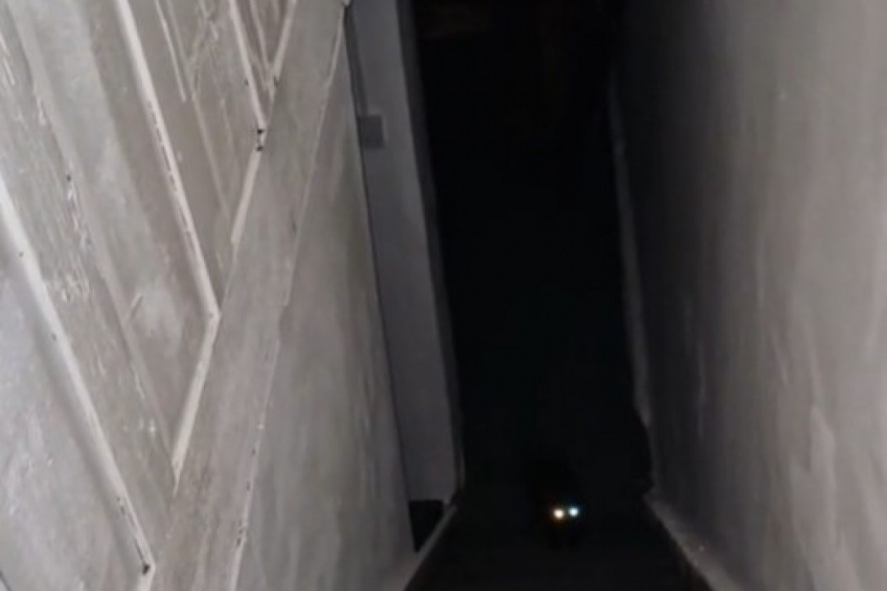 ČULA JE NEOBIČAN ZVUK I SNIMILA MRAČNI KUTAK DOMA, A ONDA JE NEŠTO KRENULO KA NJOJ: Snimak koji nikoga ne može da ostavi ravnodušnim (VIDEO)