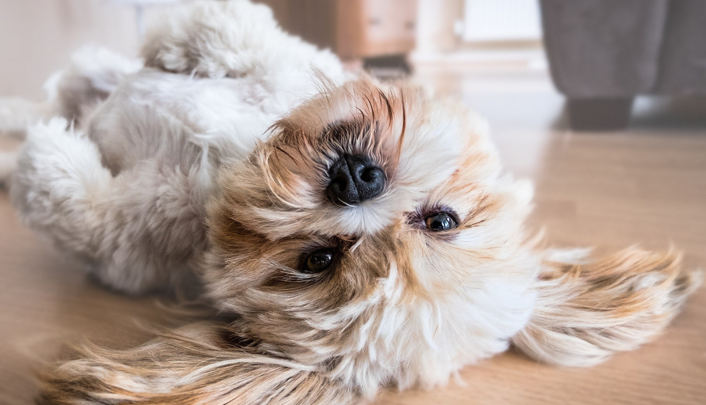 Zar su se praznici već završili?