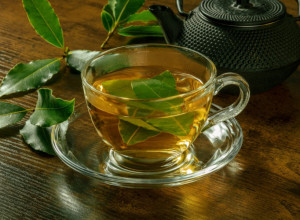 ČAJ OD LOVORA: Recite zbogom upornom kašlju!