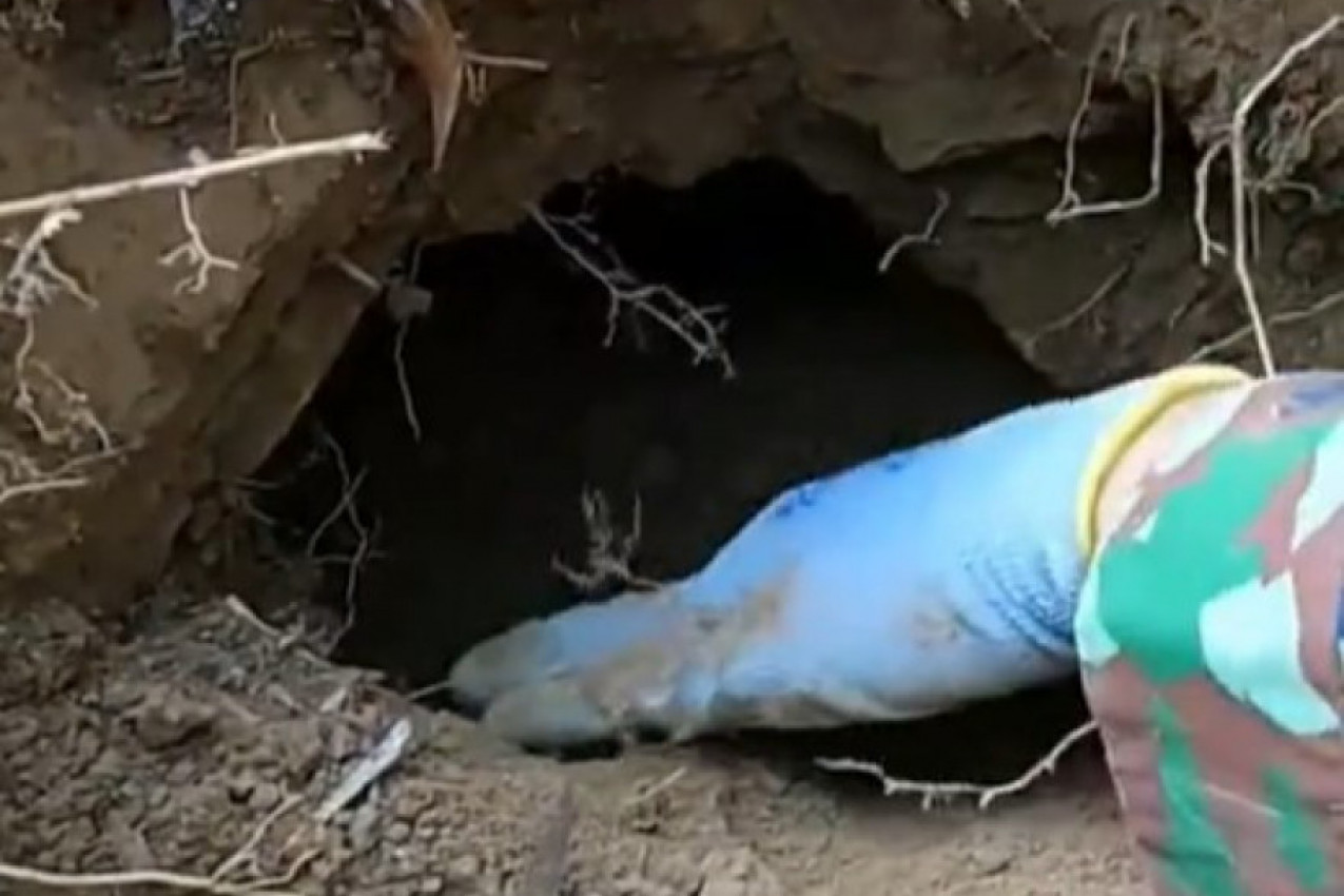 ŠETALI SU ŠUMOM U POTRAZI ZA BLAGOM: Detektor je pokazao na skrivenu rupu, kad su počeli da kopaju zaprepastili su se od prizora koji su zatekli (VIDEO)