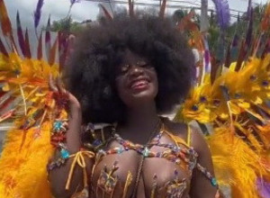 POČEO JE KARNEVAL, A ONDA SE NA ULICI POJAVILA ONA I SKINULA SVE SA SEBE: Zanosna plesačica pokazala obline, pa zatresla, ljudi u transu posmatrali šta se dešava! (VIDEO)