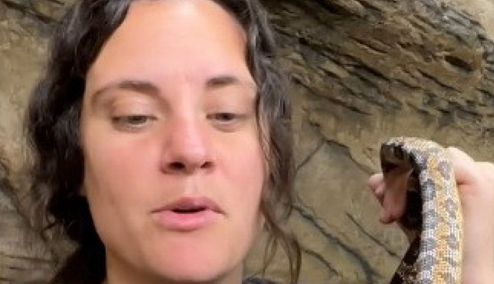 UHVATILA JE ZMIJU RUKAMA, A ONDA JE USLEDIO ŠOK: Pojavila se još jedna glava, svi panično gledaju u devojku, ona ih moli da je ne ujedu! (VIDEO)