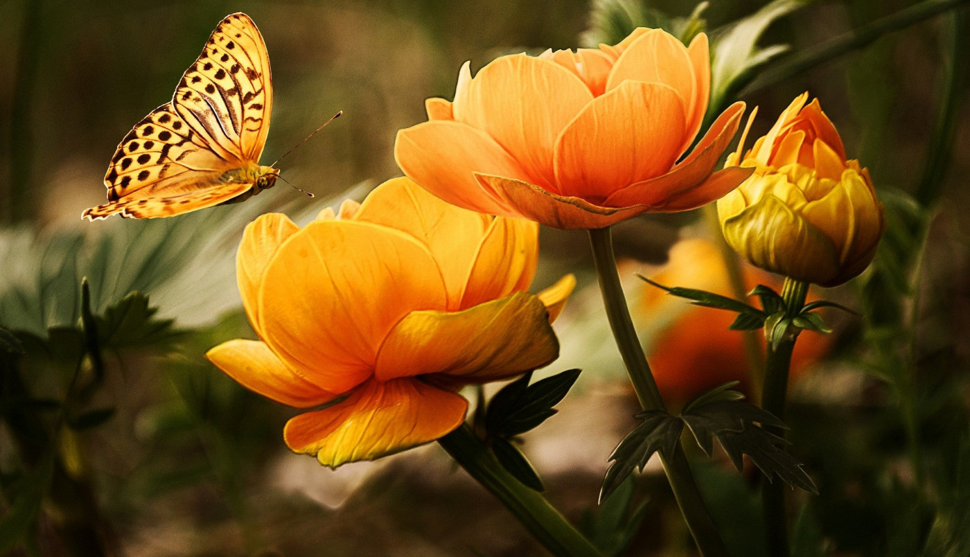 Kad se zanemi pred lepotom prirode...