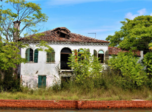KUPIO JE ZAPUŠTENU KUĆU S NAMEROM DA JE SREDI I PRODA! Usledio je šok kada je shvatio šta se krije u dvorištu iza: Sada je ne bih dao ni za kakve pare! (FOTO)
