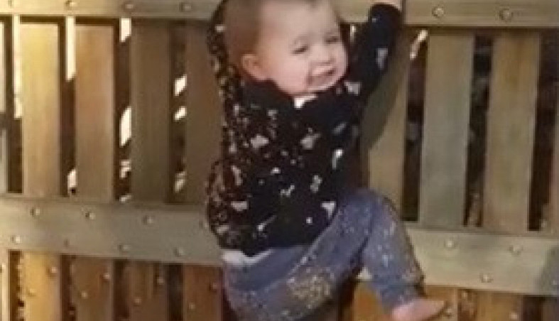 DETE OD 11 MESECI IM SE OTRGLO I PRIŠLO DRVENOJ OGRADI VISOKOJ 4 METRA: Sledili su se od straha, a onda je uradilo nešto što nisu mogli ni da sanjaju, vrisnuli su od šoka!! (VIDEO)