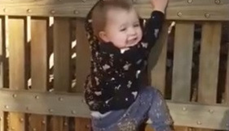 DETE OD 11 MESECI IM SE OTRGLO I PRIŠLO DRVENOJ OGRADI VISOKOJ 4 METRA: Sledili su se od straha, a onda je uradilo nešto što nisu mogli ni da sanjaju, vrisnuli su od šoka!! (VIDEO)