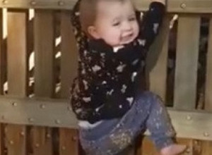 DETE OD 11 MESECI IM SE OTRGLO I PRIŠLO DRVENOJ OGRADI VISOKOJ 4 METRA: Sledili su se od straha, a onda je uradilo nešto što nisu mogli ni da sanjaju, vrisnuli su od šoka!! (VIDEO)