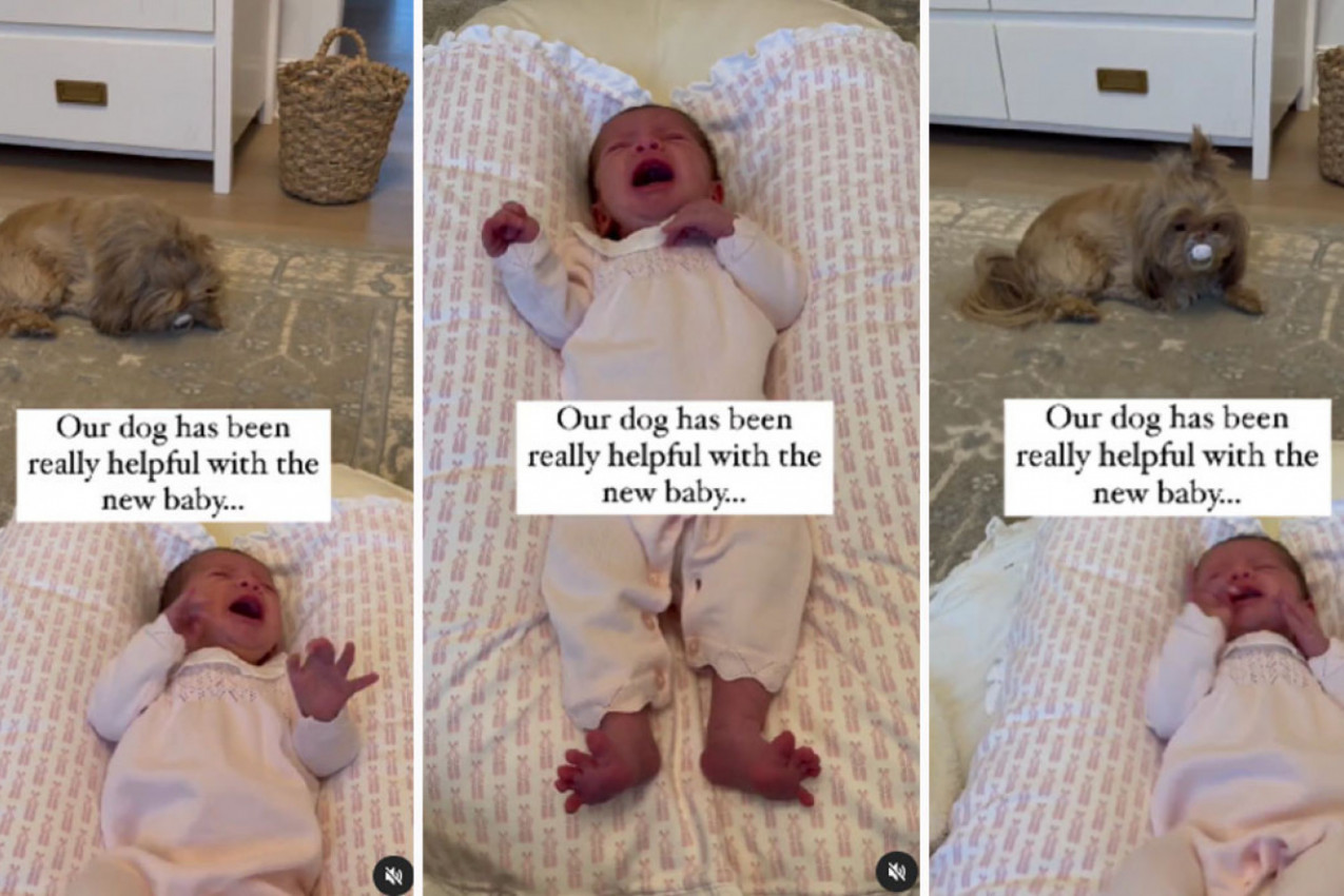 NA KRATKO SU OSTAVILI PSA SAMOG S BEBOM, A ONDA SAMO ZAČULI VRISAK: Unezverena majka nije znala šta ju je snašlo, a onda je pogledala u životinju koja je ležala nedaleko od deteta! (VIDEO)