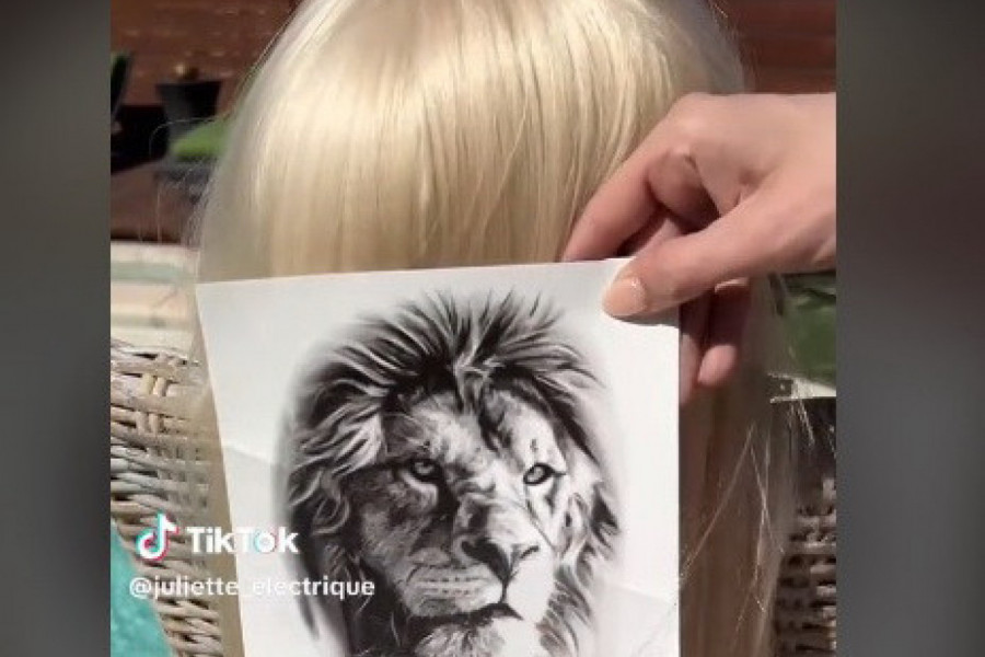 DA LI STE ČULI ZA TETOVAŽU NA KOSI? Ovo je novi trend koji osvaja svet (VIDEO)