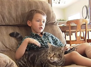 KOMŠIJSKI PAS JE NAPAO DEČAKA I UGROZIO MU ŽIVOT: Kada se čuo plač deteta, odjednom je u pomoć pritekla mačka, usledila je scena nakon koje su svi ostali u neverici (VIDEO)