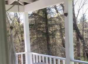 KADA JE POGLEDALA KROZ PROZOR, PRETNULA JE OD STRAHA: Na tremu kuće odigravala se nezapamćena drama (VIDEO)