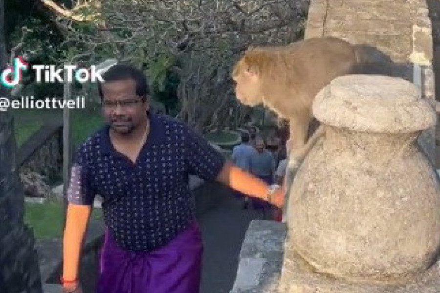 ŠETAO JE REZERVATOM NA BALIJU, NE SLUTIVŠI DA ĆE U SEKUNDI BITI POKRADEN: Turista je zanemeo od šoka kad je video u kakvu je zamku upao (VIDEO)