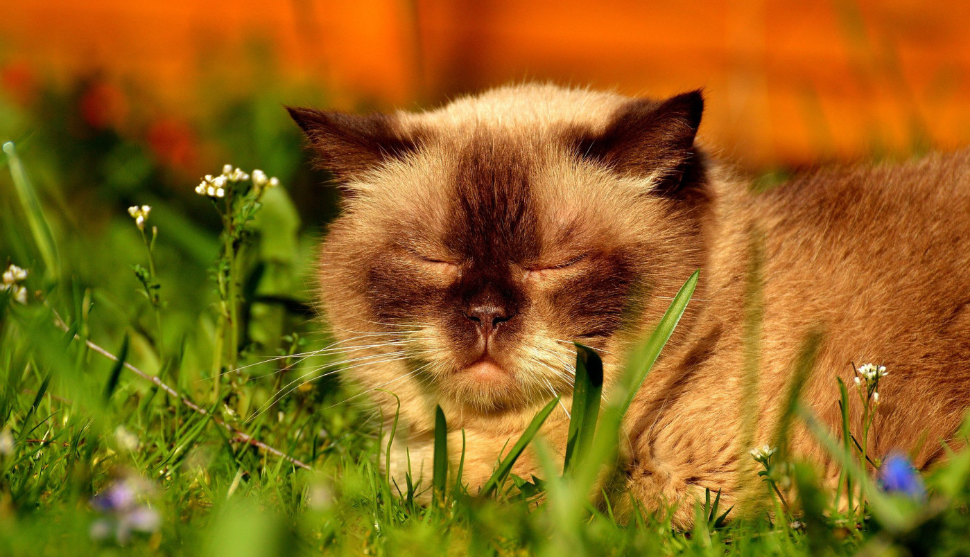 Ko ovako može da uživa u današnjem danu?