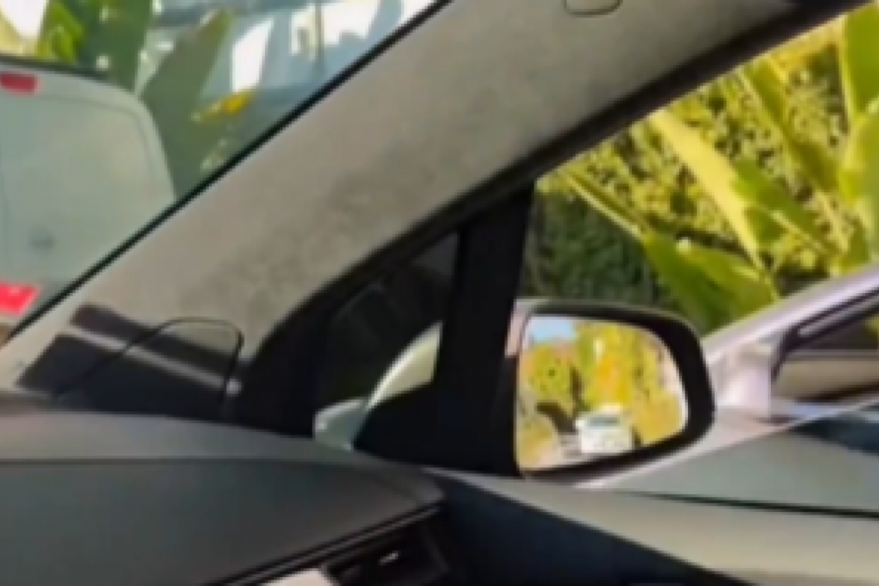 ZAUSTAVIO JE AUTOMOBIL NA SEMAFORU I U VOZILU PORED UGLEDAO PRELEPU DEVOJKU: Ali onda je nešto iskočilo na njenom suvozačevom sedištu, ostao je skamenjen! (FOTO/VIDEO)