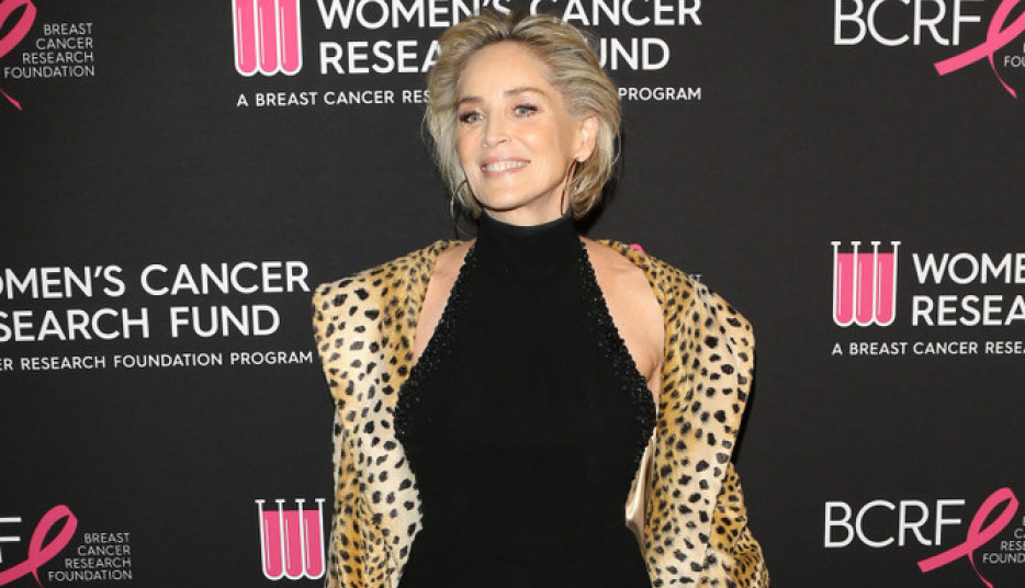 ŠOK! ŠERON STOUN U 65. GODINI POKAZALA ZADNJICU: Ljudi joj zapanjeno poručili: Ovo nikako nismo želeli da vidimo! (FOTO)