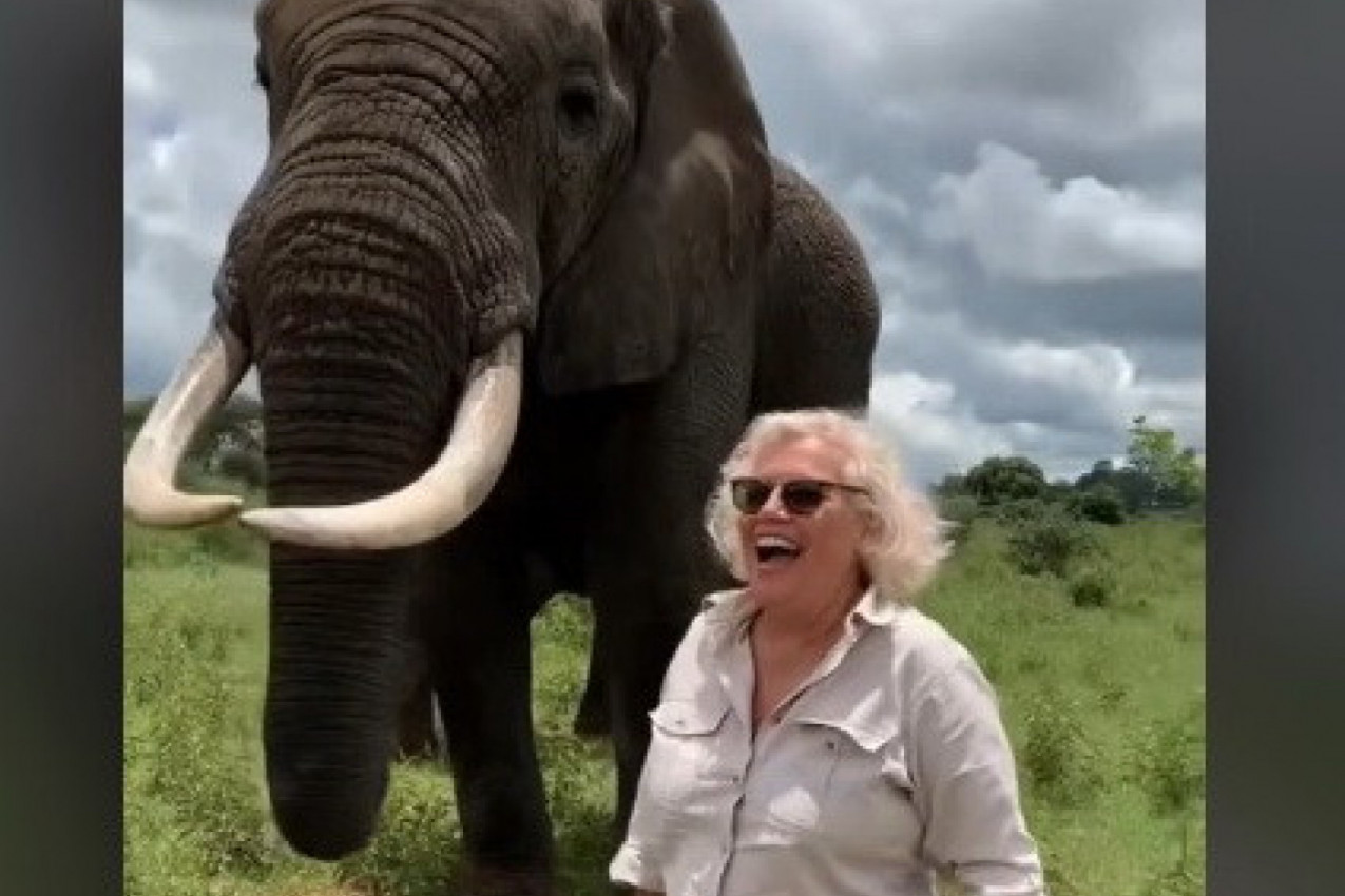 STALA JE ISPRED SLONA DA SE FOTOGRAFIŠE, A ONDA JE USLEDIO NAPAD: Žena je u šoku gledala u ogromnu životinju, sve se desilo u par sekundi (VIDEO)