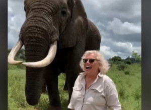 STALA JE ISPRED SLONA DA SE FOTOGRAFIŠE, A ONDA JE USLEDIO NAPAD: Žena je u šoku gledala u ogromnu životinju, sve se desilo u par sekundi (VIDEO)