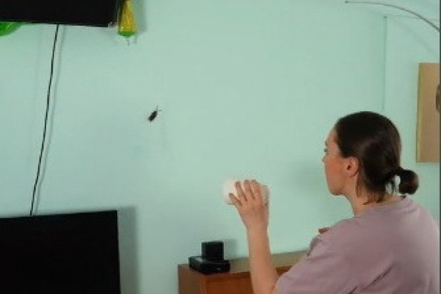 KRENULA JE DA HVATA OGROMNU BUBAŠVABU i neverovatnim trikom uspela, ali kada se okrenula ka ćerki usledio je vrisak! Devojčica je pobegla glavom bez obzira! (VIDEO)