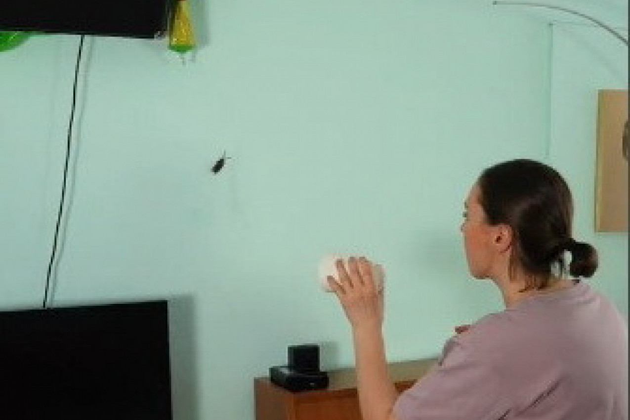 KRENULA JE DA HVATA OGROMNU BUBAŠVABU i neverovatnim trikom uspela, ali kada se okrenula ka ćerki usledio je vrisak! Devojčica je pobegla glavom bez obzira! (VIDEO)