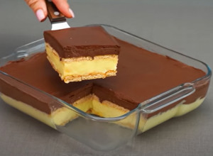 ČOKOLADNI KOLAČ KOJI SE NE PEČE: Spreman je za samo 20 minuta, bukvalno se topi u ustima! (VIDEO)