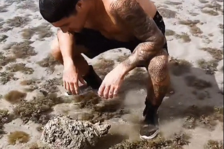 VIDEO JE NEŠTO ČUDNO U PLIĆAKU, POMISLIO DA JE KAMEN, A ONDA SHVATIO DA JE ŽIVO! Pravi šok usledio je kad ga je okrenuo, snimatelj je vrisnuo! (VIDEO)