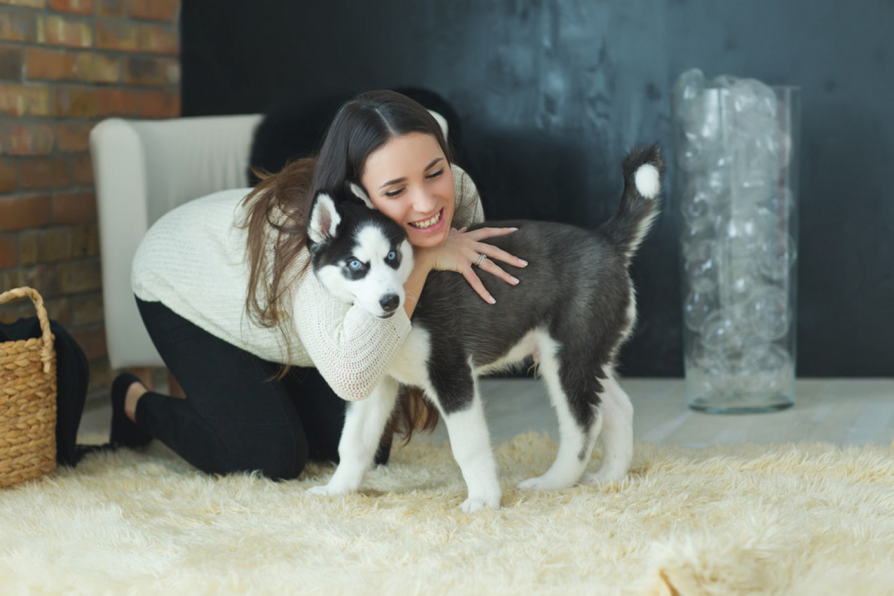 KOBNA GREŠKA! NIKADA NE GRLITE SVOG PSA: Stručnjaci tvrde da to nikako nije dobro!