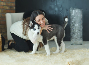 KOBNA GREŠKA! NIKADA NE GRLITE SVOG PSA: Stručnjaci tvrde da to nikako nije dobro!