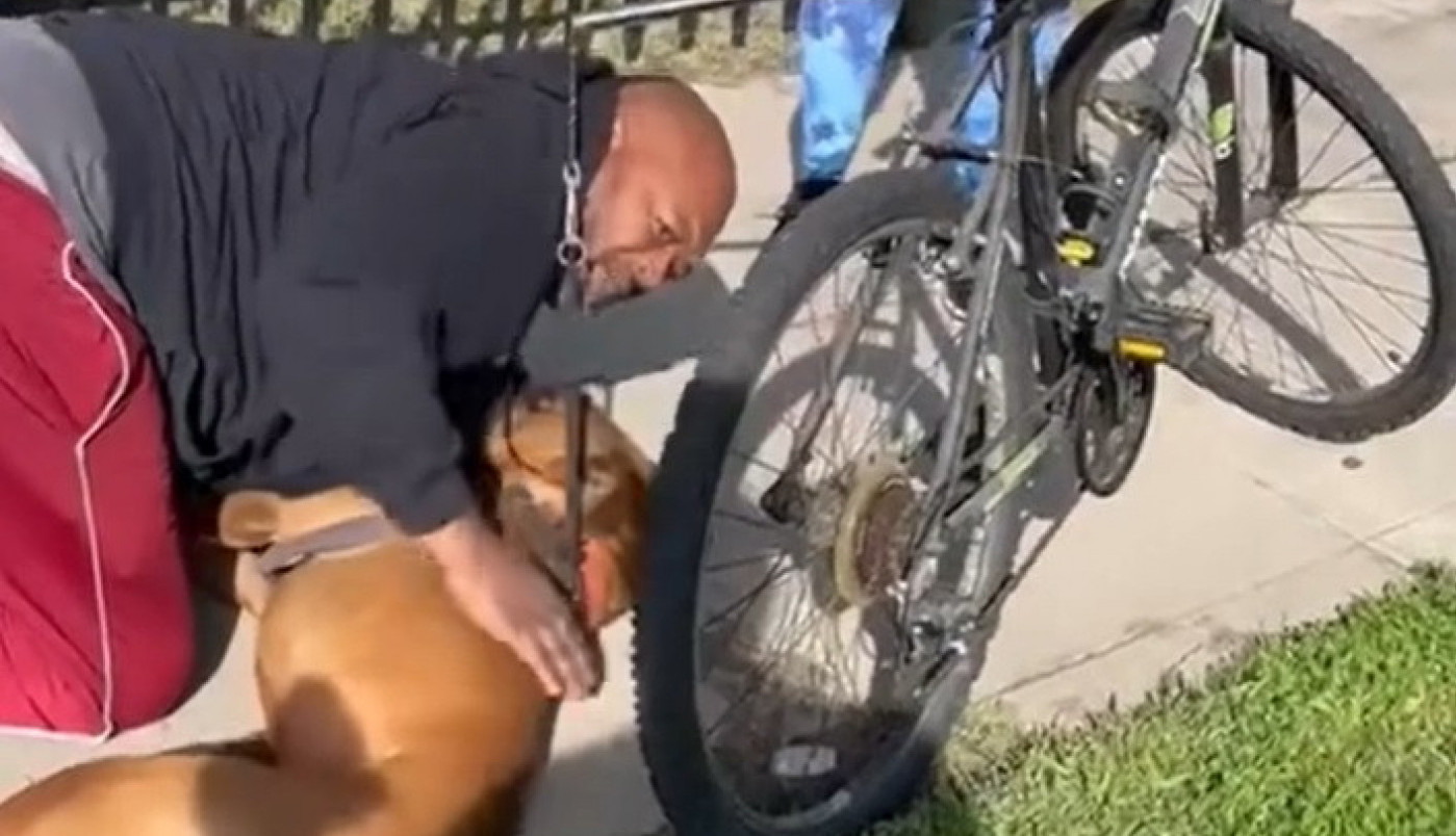 TOKOM TRČANJA PAS SE SAMO SRUČIO NA ZEMLJU, NJEGOVA VLASNICA JE VRISNULA: Nije davao znake života, a onda je ovaj čovek uradio šokantnu stvar, suze same idu! (VIDEO)