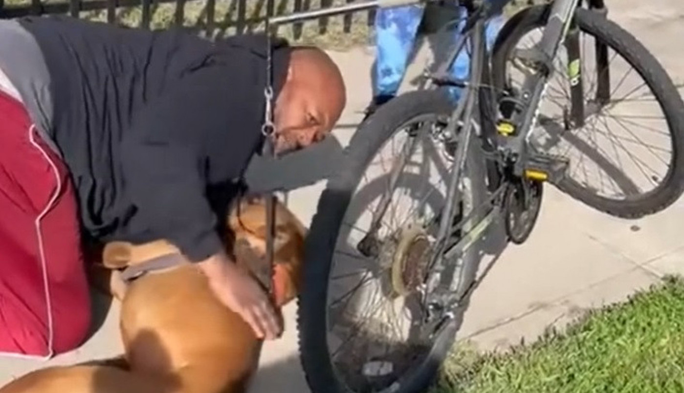 TOKOM TRČANJA PAS SE SAMO SRUČIO NA ZEMLJU, NJEGOVA VLASNICA JE VRISNULA: Nije davao znake života, a onda je ovaj čovek uradio šokantnu stvar, suze same idu! (VIDEO)