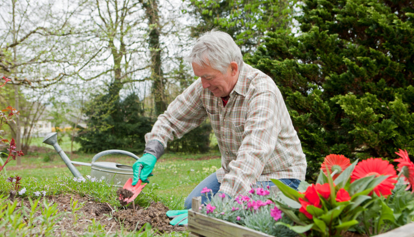SADIO JE CVEĆE U BAŠTI, A ONDA JE U NEŠTO LUPIO! Kada je izvukao predmet na površinu vrisnuo je od šoka, a tek onda je usledila vest zbog koje se skamenio: Živeo sam na blagu! (FOTO)