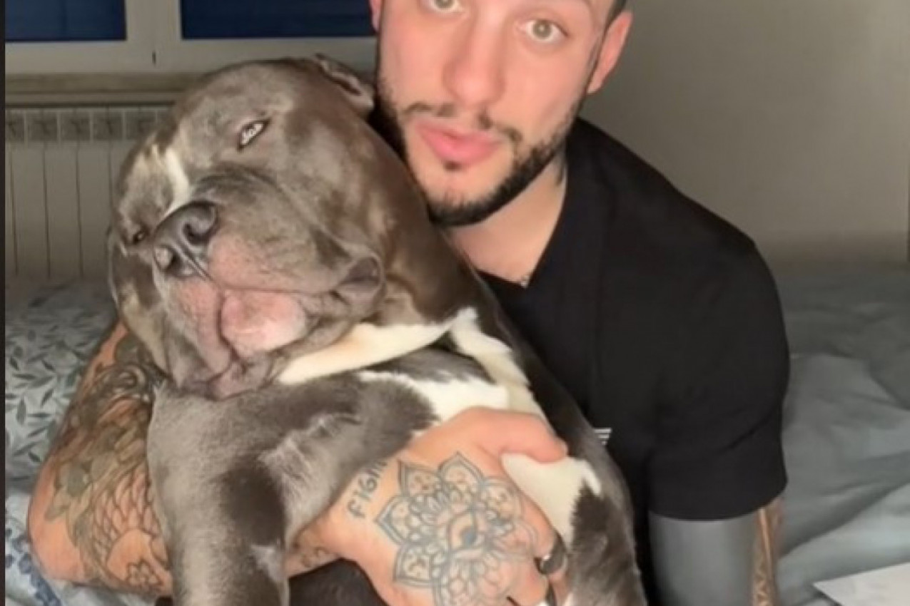 OGROMNOG PIT BULA SU DONELI KOD VLASNICE U PORODILIŠTE: Nisu ni slutili kakva će mu reakcija biti, svet u šoku! (VIDEO)