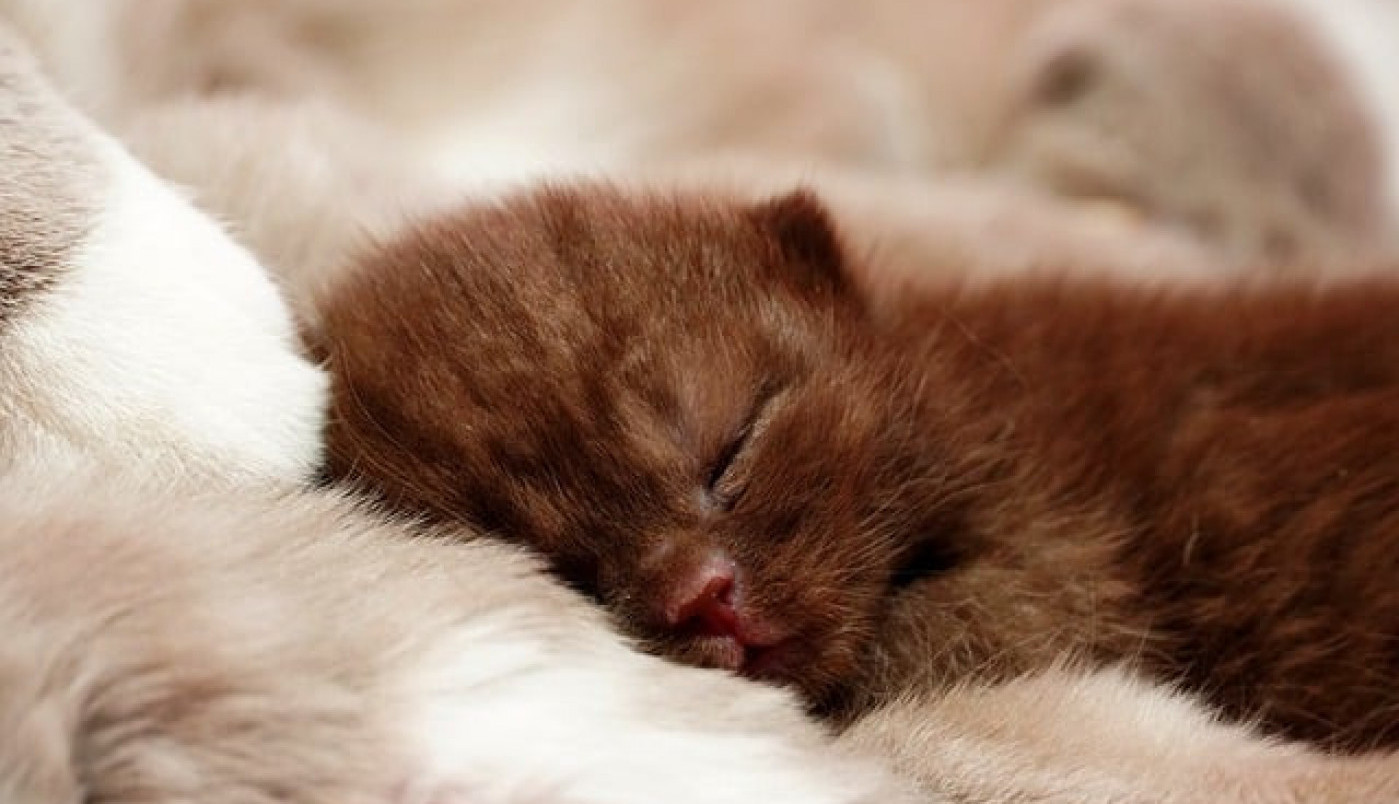 A kako vi zamišljate idealno popodne?