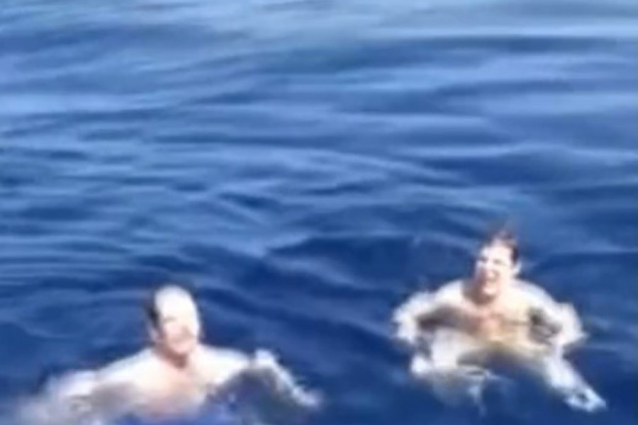 UŽIVALI SU U PLIVANJU NI NE SLUTIVŠI ŠTA ĆE SE DESITI: Kada su krenuli ka brodu nastala je drama, telefonom je slučajno snimljeno šta je bilo ispod njih na samo JEDAN METAR! (VIDEO)