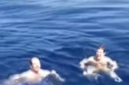 UŽIVALI SU U PLIVANJU NI NE SLUTIVŠI ŠTA ĆE SE DESITI: Kada su krenuli ka brodu nastala je drama, telefonom je slučajno snimljeno šta je bilo ispod njih na samo JEDAN METAR! (VIDEO)