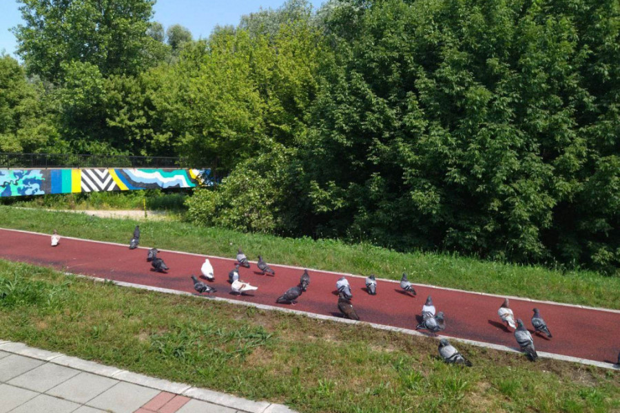 Predah je uvek lepši u društvu...