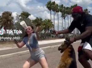 ŽENU JE NAPAO VUČJAK, A REAKCIJA VLASNIKA JE SVE ŠOKIRALA: Dok je ona izbezumljeno vrištala sve više je razdraživala psa, ono što se potom desilo je za nevericu (VIDEO)