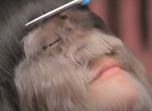 DA LI SE SEĆATE NAJDLAKAVIJE DEVOJKE NA SVETU? Ljudi su se sklanjali od nje i nazivali je vukodlakom, ali danas je doživela TRANSFORMACIJU! (FOTO/VIDEO)